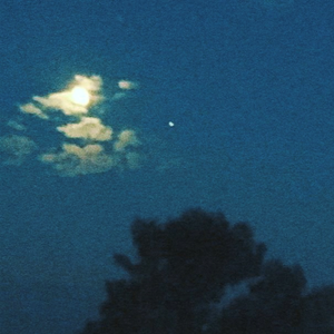 一区二区谢精交配
