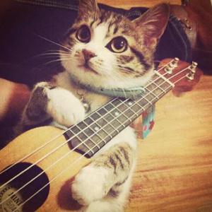 一区二区谢精交配
